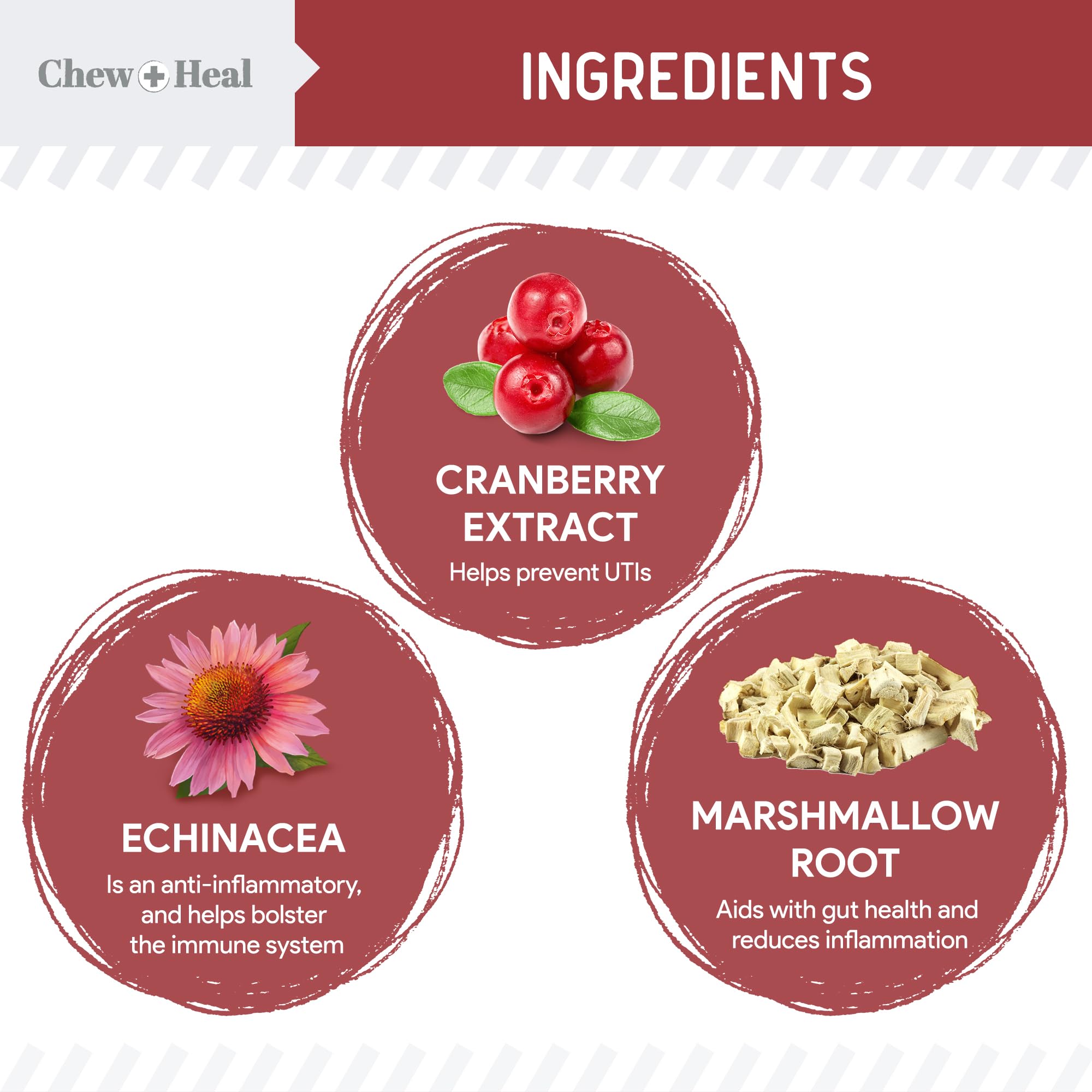 Chew + Heal Labs sabor pollo, masticables atractivos para perros.