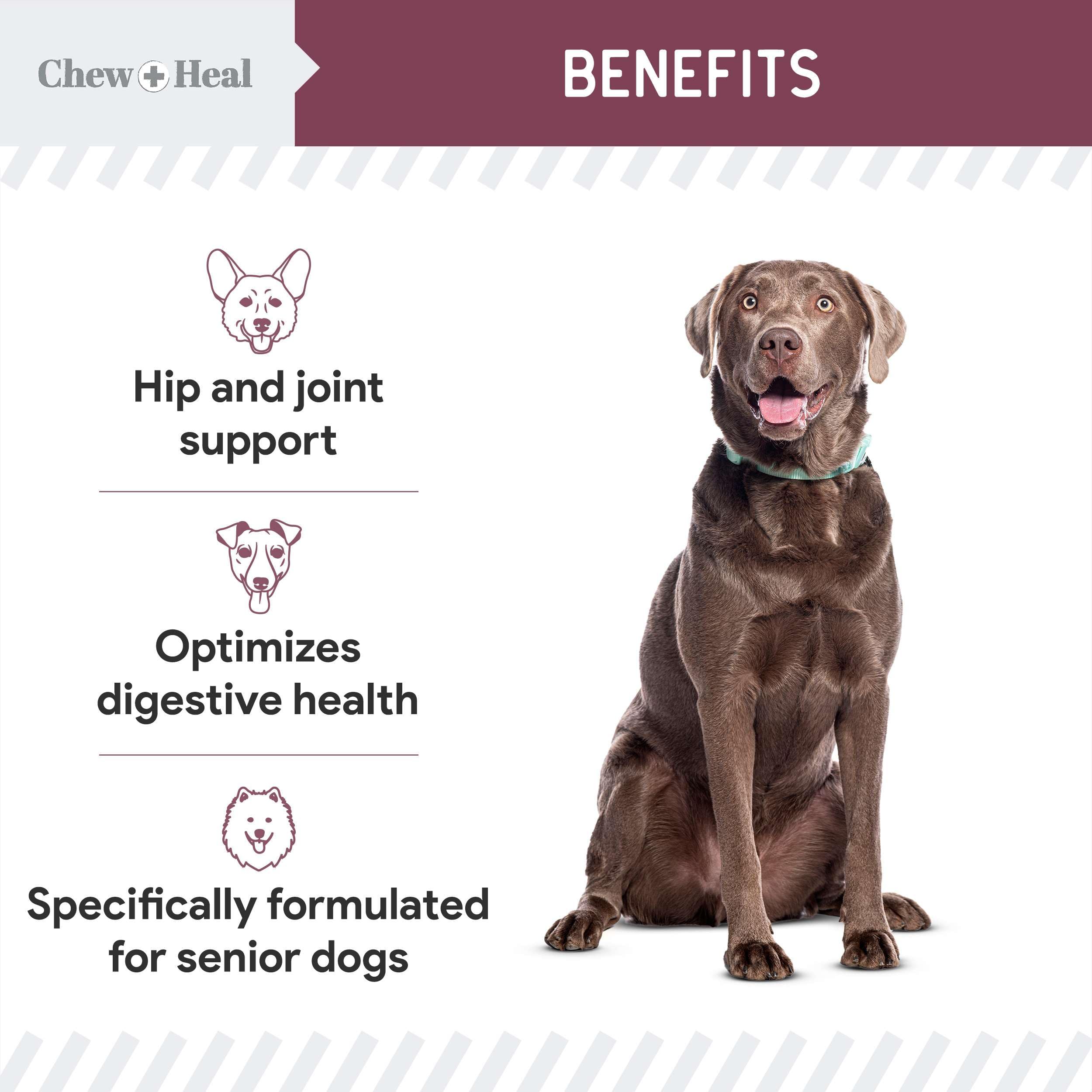 Chew + Heal Labs probióticos para digestión diaria en perros.