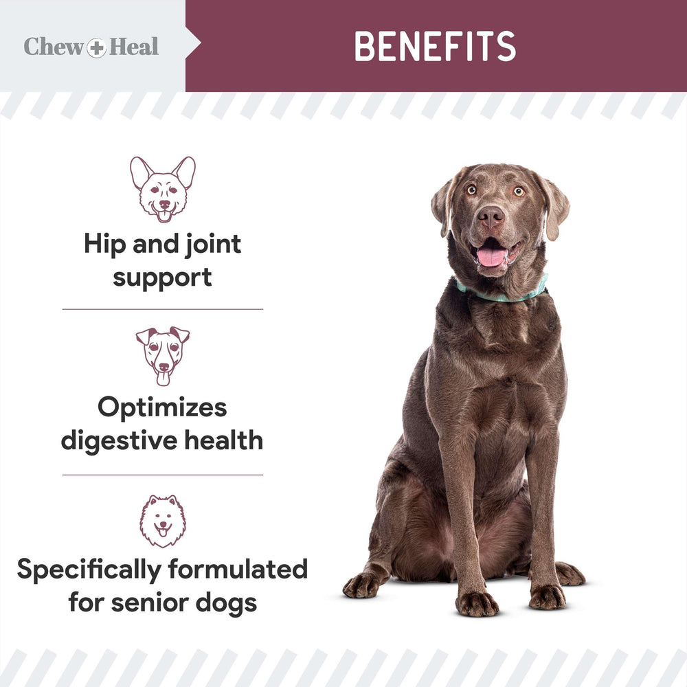Chew + Heal Labs probióticos para digestión diaria en perros.
