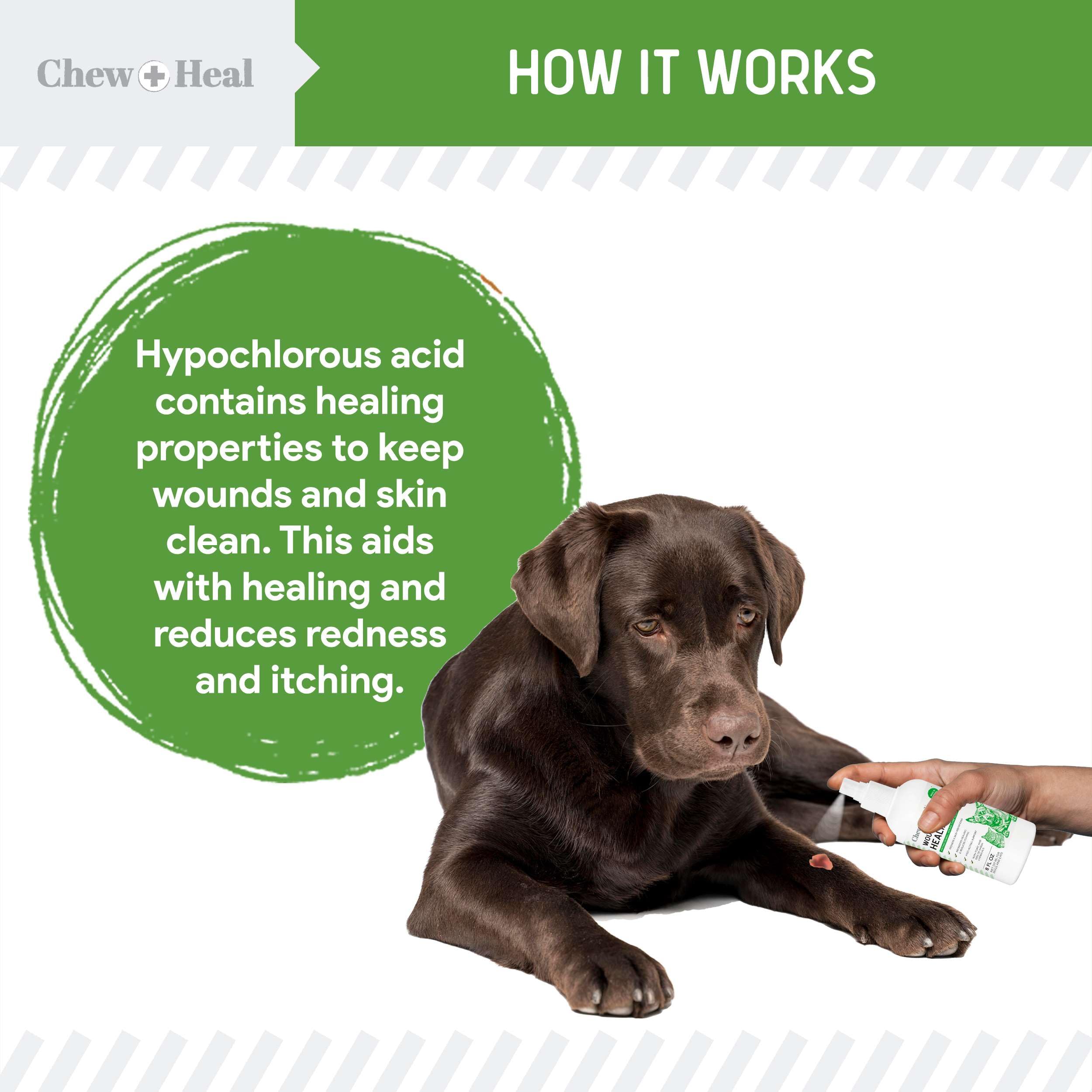 Chew + Heal Labs aplicación rápida en piel canina, uso práctico