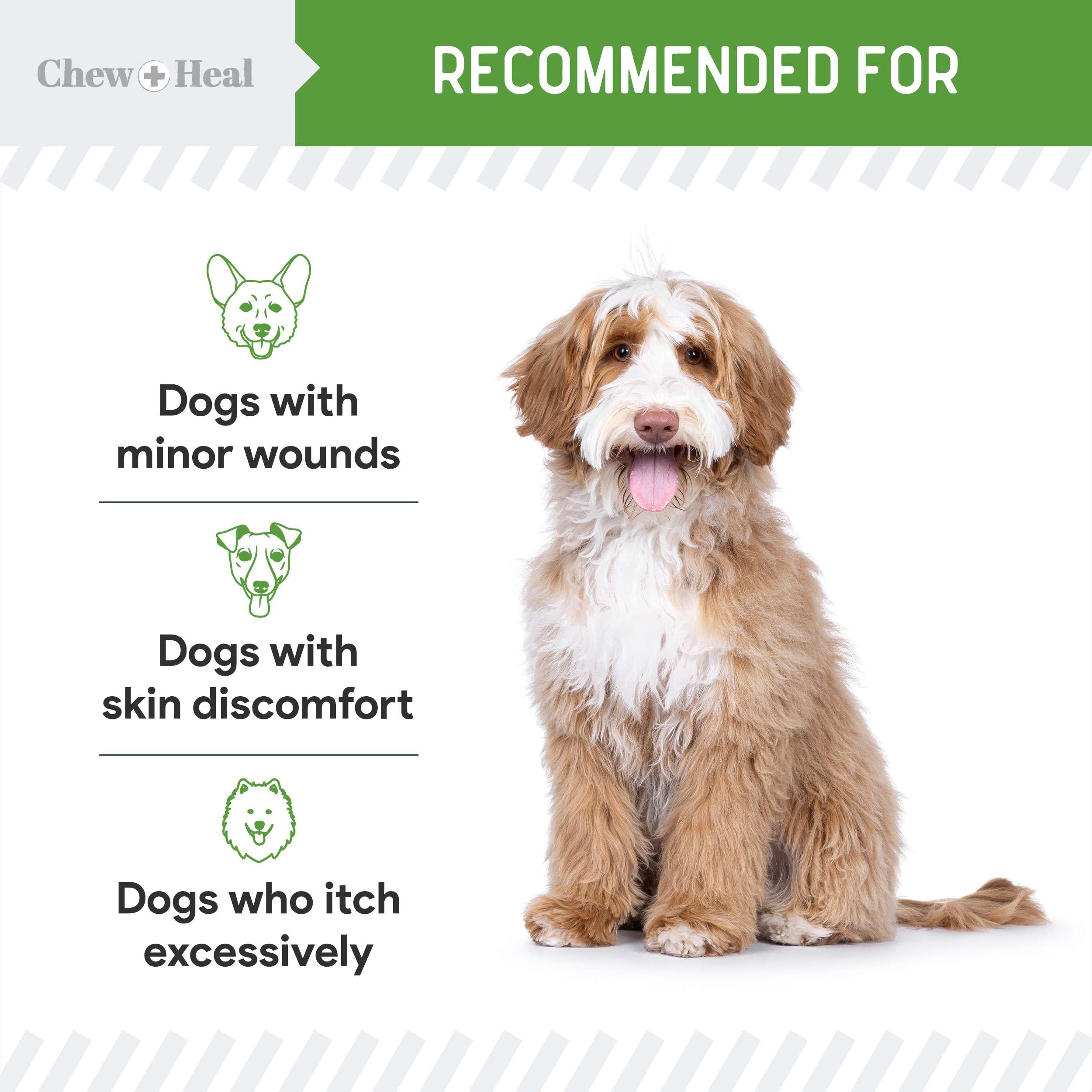 Chew + Heal Labs spray seguro para todas las razas