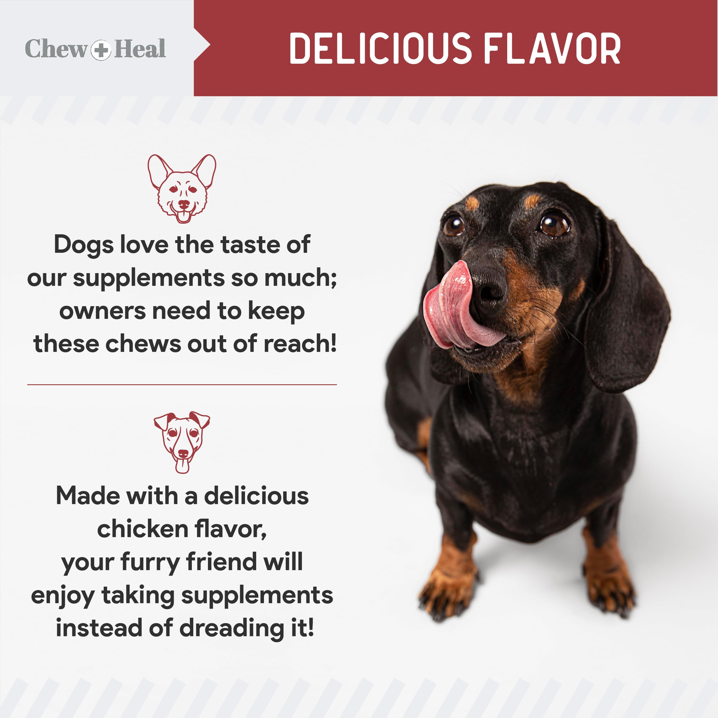Chew + Heal Labs uso diario para perros, opción segura de rutina.