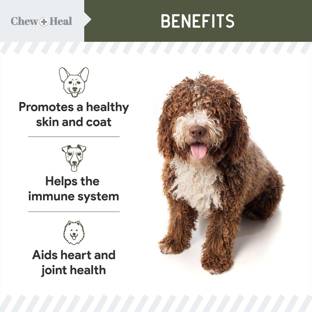 Chew + Heal Labs: verter en la comida para perro facilita la administración diaria.