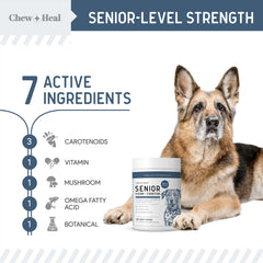 Vitamina C y turkey tail de Chew + Heal Labs, antioxidantes para el bienestar general.