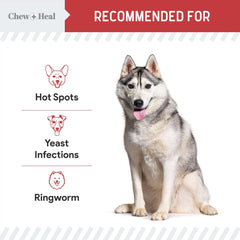 Chew + Heal Labs: toallitas para uso diario en patas.