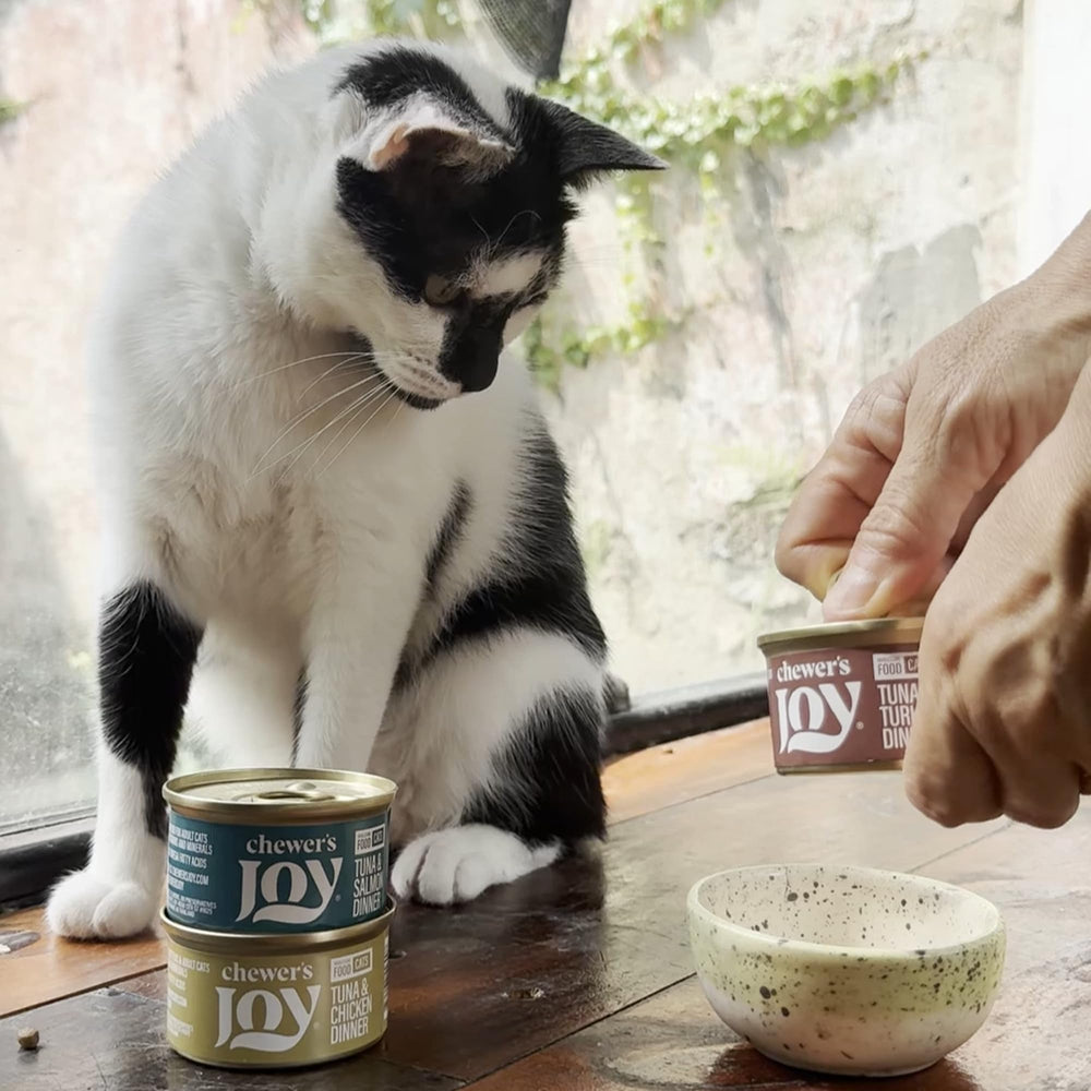 Chewer's Joy nutrición completa y equilibrada para todas las etapas.