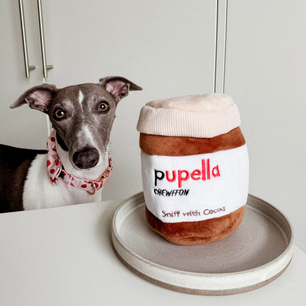 CHEWFFON Juguete de 5x5x6 pulgadas para perros de cualquier tamaño