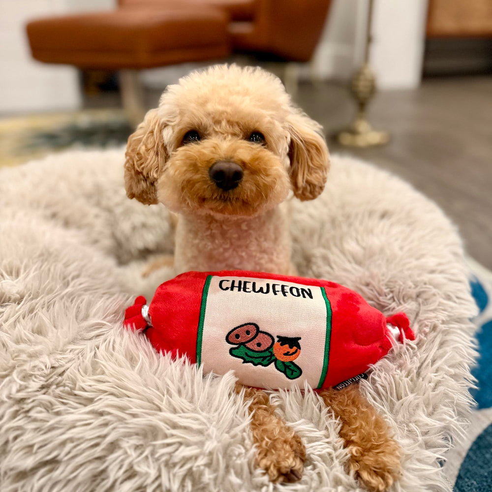 CHEWFFON juguete-tamano-universal, adecuado para perros de todos los tamaños y estilos de juego.