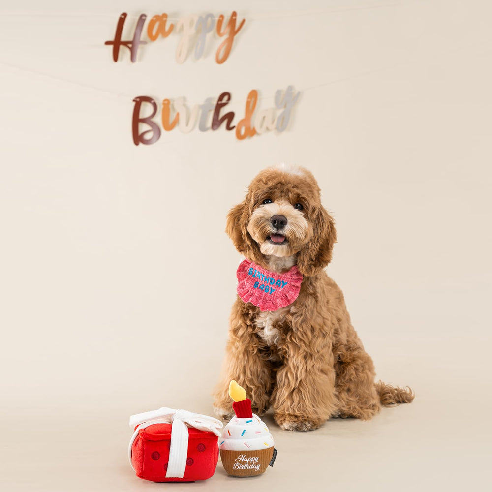 Chewffon perro jugando; diseño de caja regalo añade sorpresa y diversión.