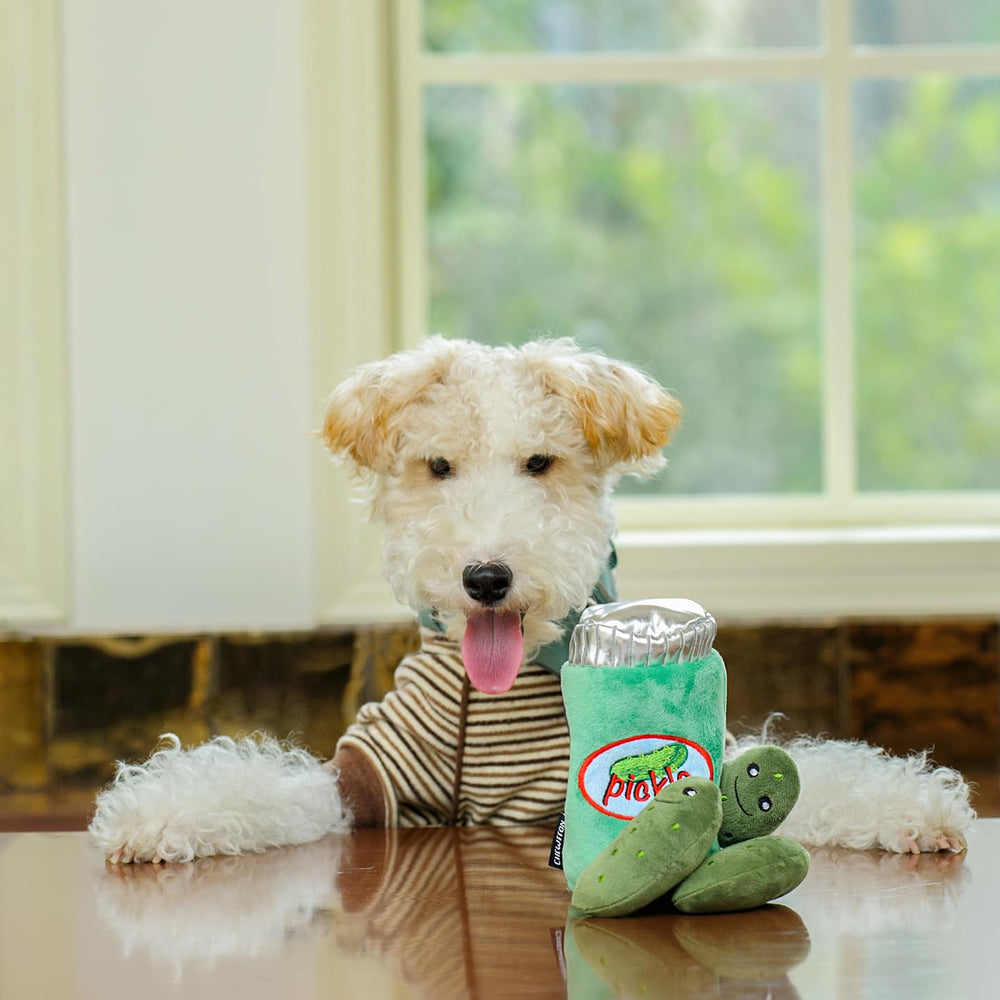 CHEWFFON Regalo ideal para cumpleaños o festividades de perros.