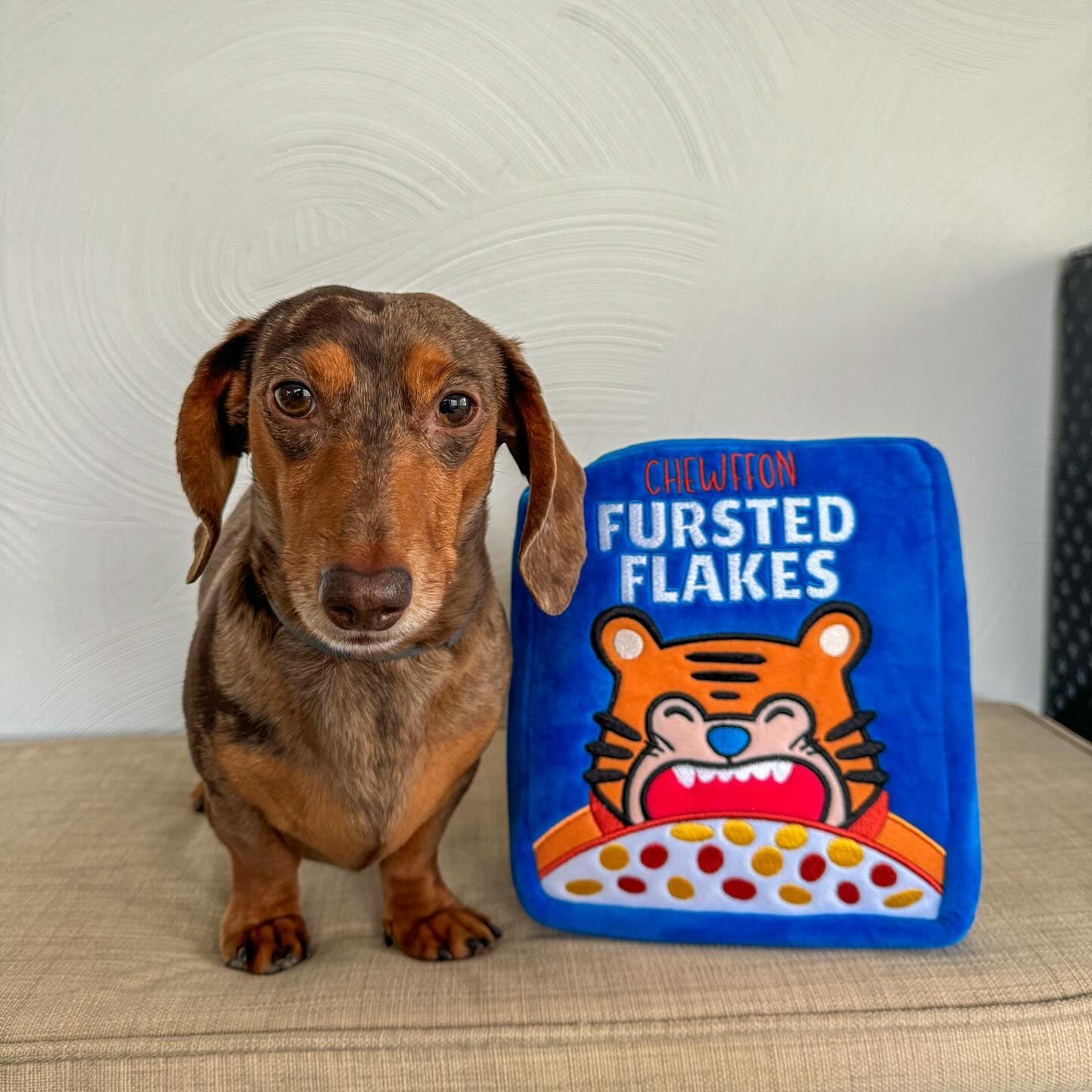 CHEWFFON uso diario para perros pequeños, medianos y grandes.