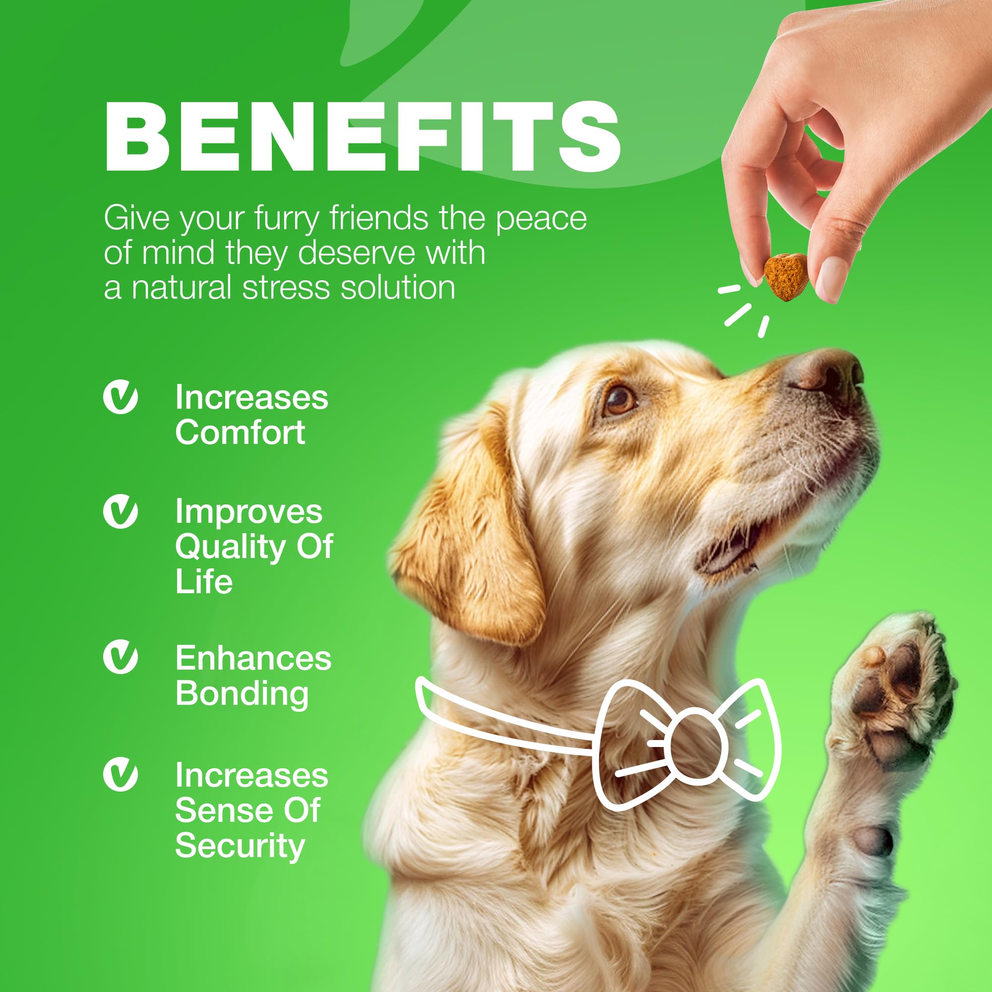 CHEWIA cuidado-urinario-perro: soporte suave para la salud urinaria canina.