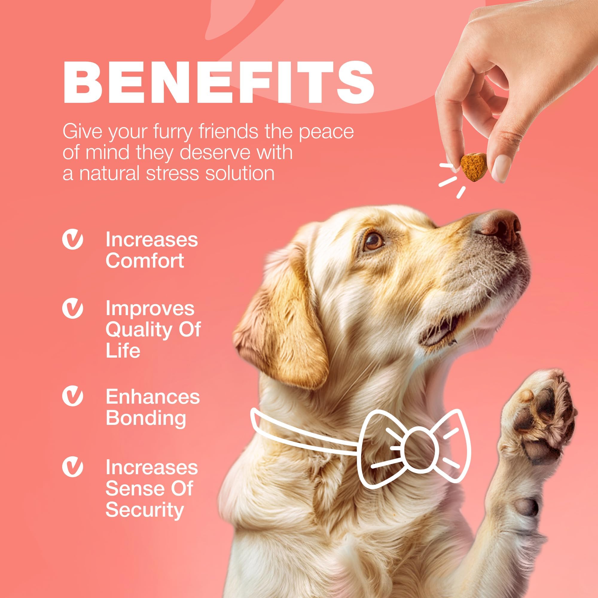 CHEWIA: envase práctico y cómodo, pensado para el cuidado continuo.
