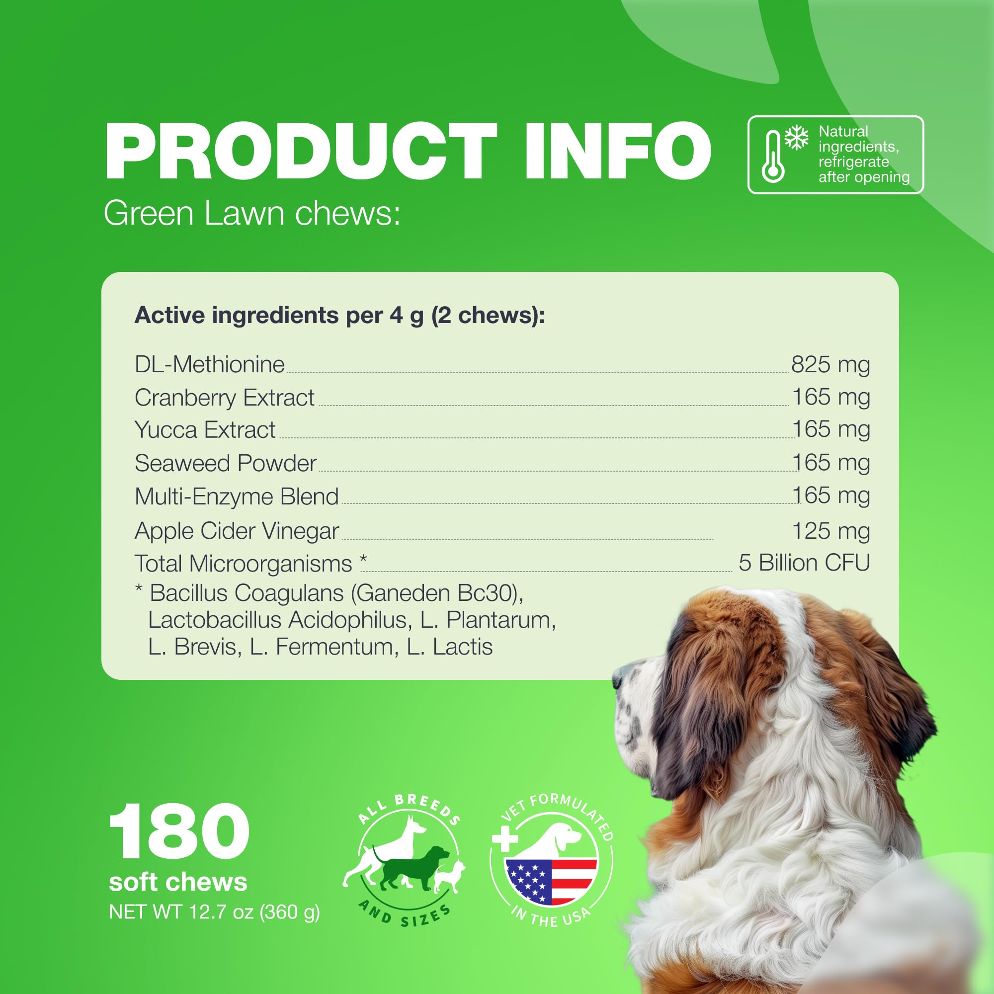 CHEWIA estilo-vida-en-cesped-perro: perro contento y jardín cuidado.
