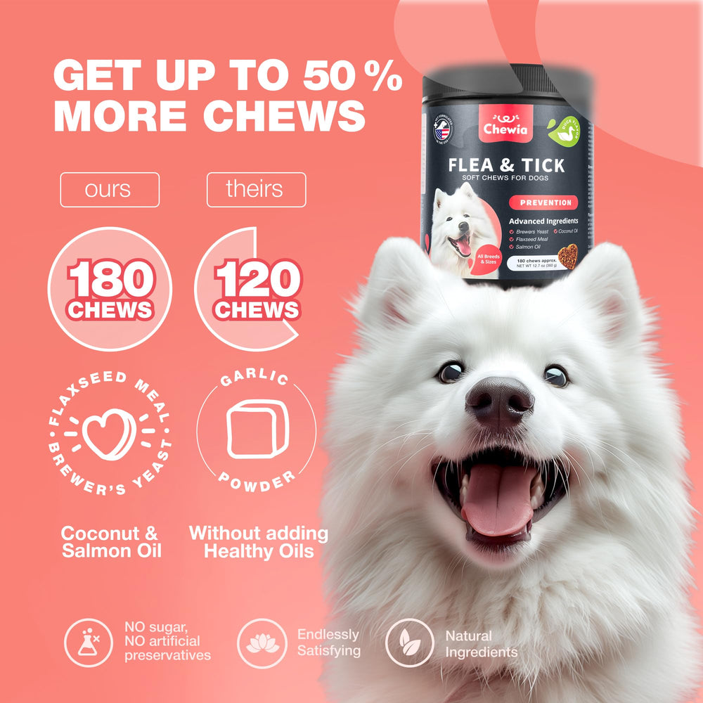 CHEWIA: prevención durante todo el año, diseño para uso diario.