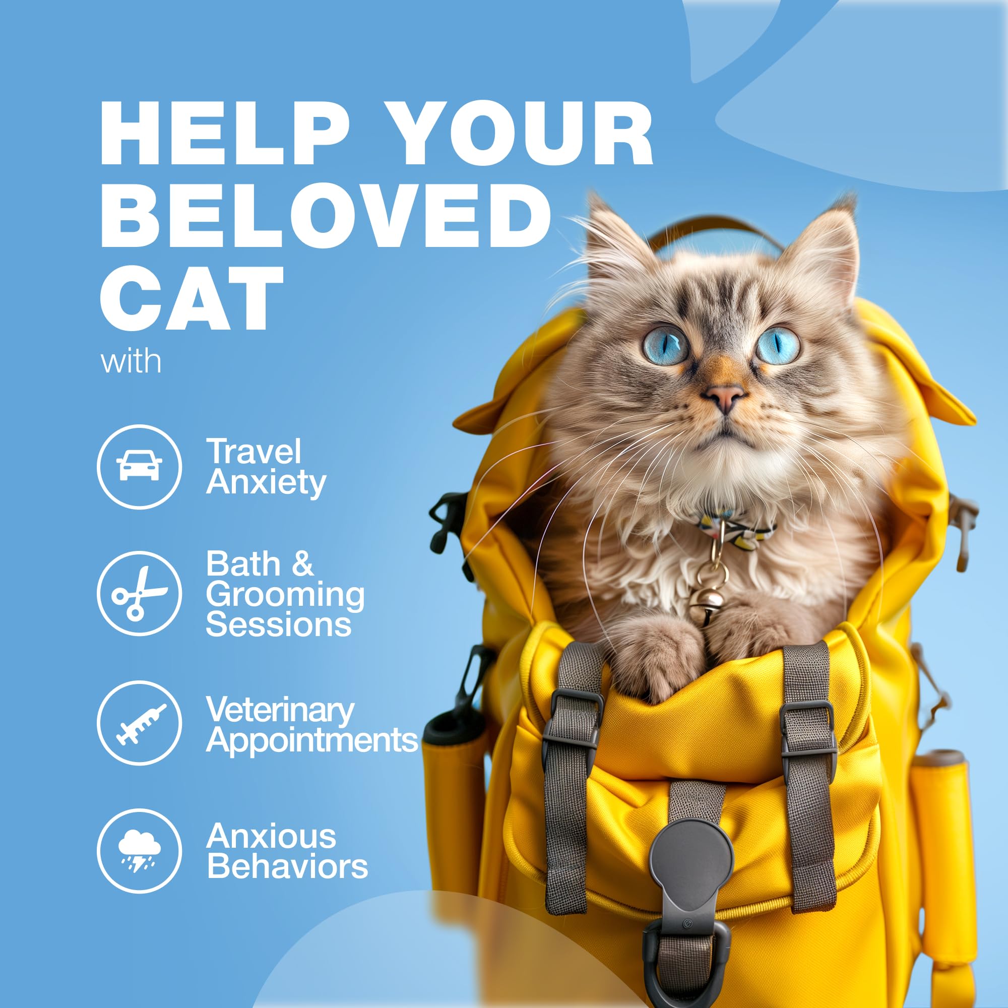 CHEWIA probióticos en la fórmula, complemento para bienestar felino