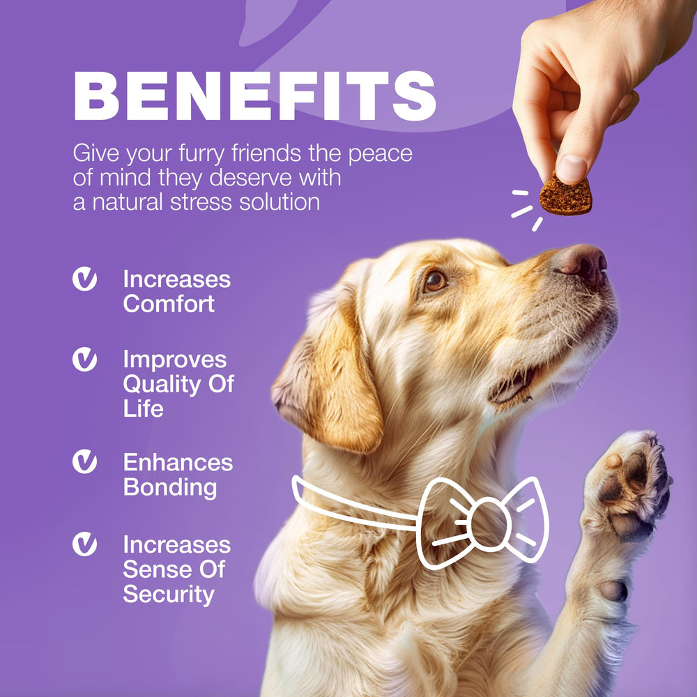 CHEWIA vitaminas para perros 15 en 1, apoyo al sistema inmunitario