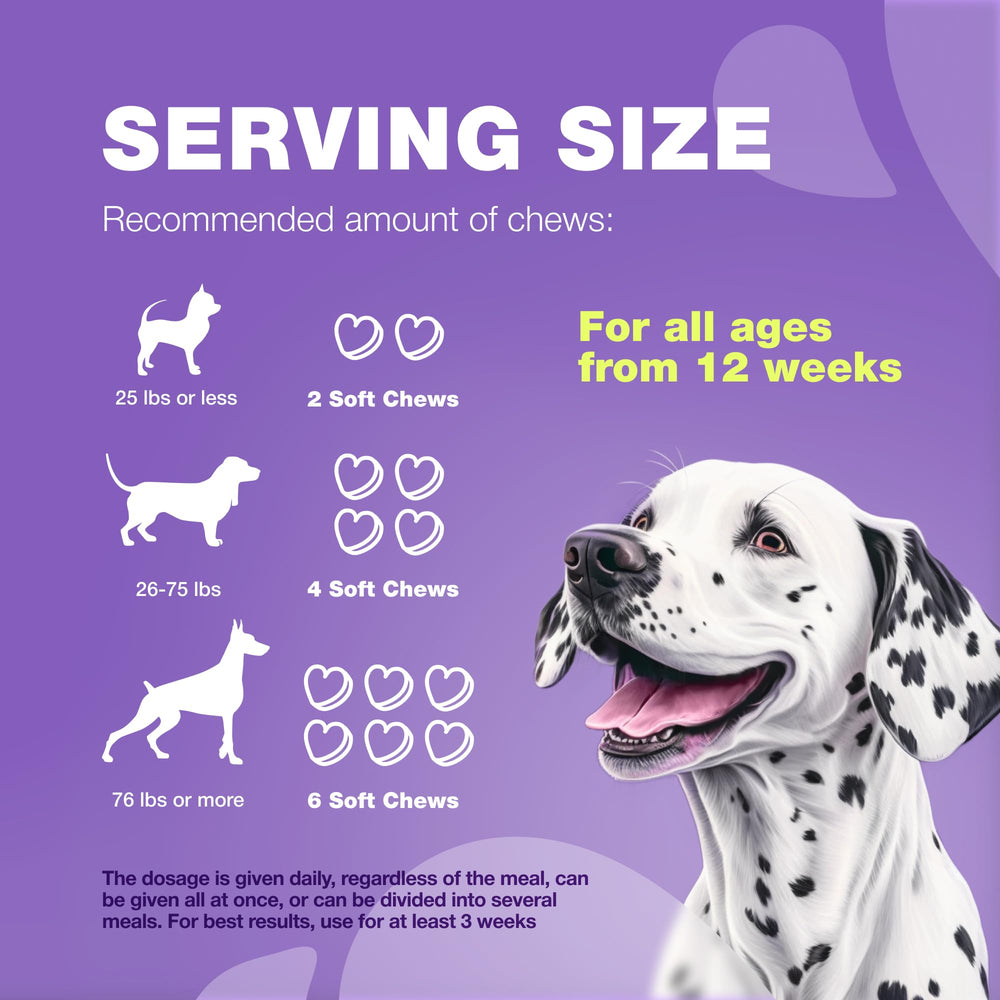 CHEWIA vitaminas para perros 15 en 1, quercetina para respuestas estacionales