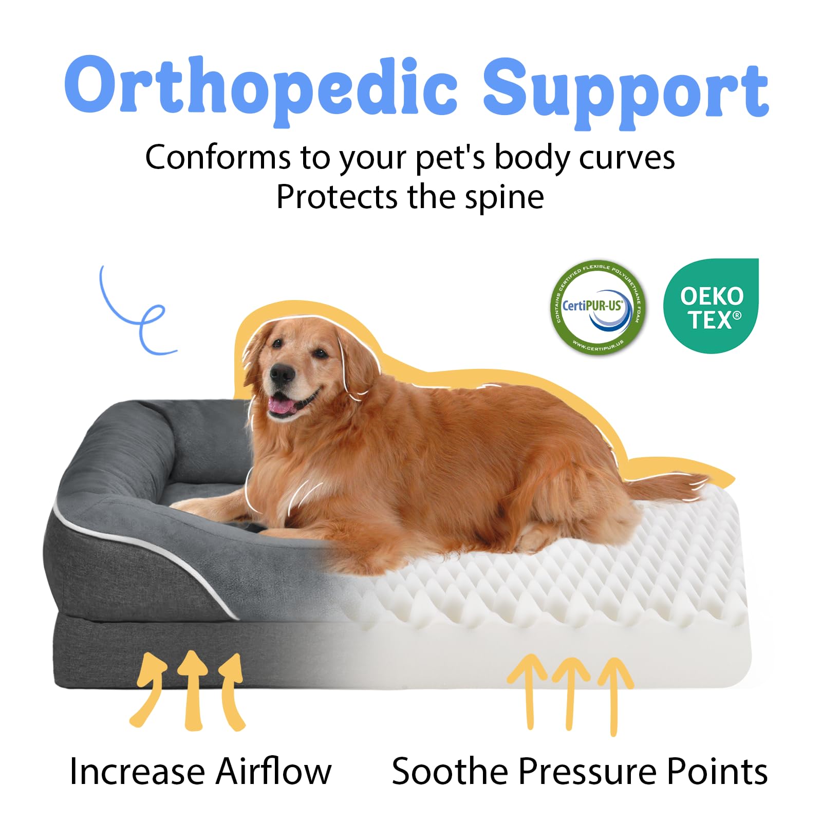 Chez Paw cama con funda desmontable para limpieza rápida