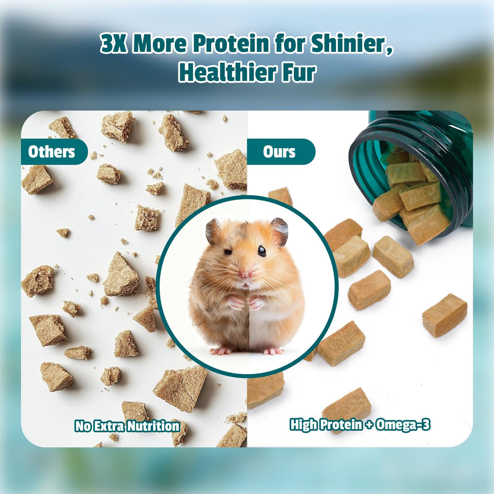 Salud digestiva de hámster con probióticos Chezpiupiu para flora intestinal equilibrada.