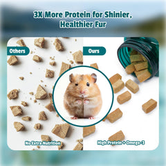 Salud digestiva de hámster con probióticos Chezpiupiu para flora intestinal equilibrada.