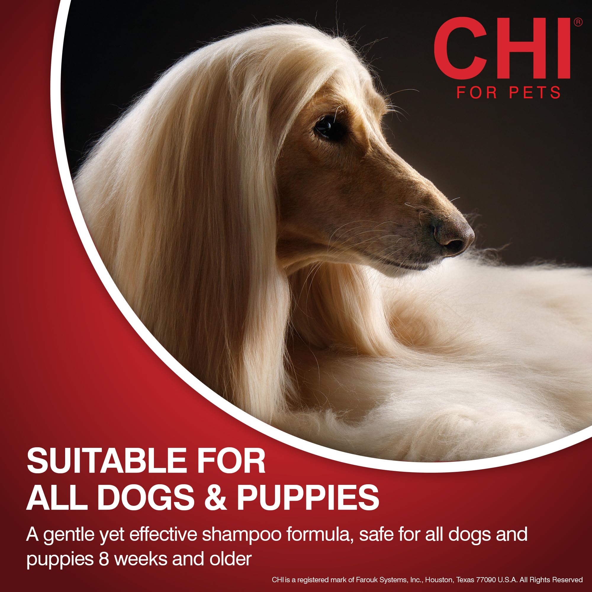 Cuidado del pelaje CHI para perros: sellado de cutícula y menos frizz.