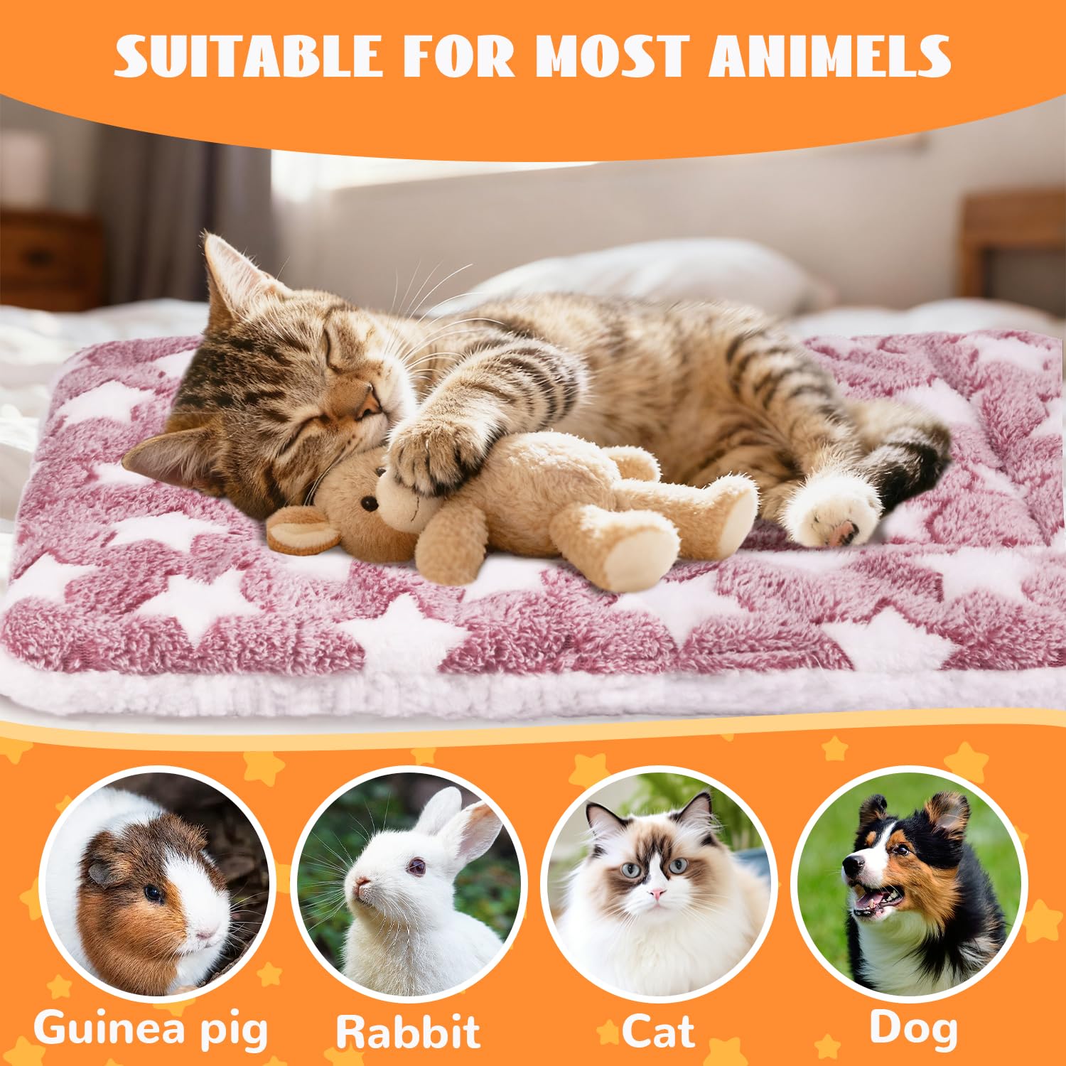 CHICAUP cama auto-calentante 24x16 pulgadas para mascotas pequeñas