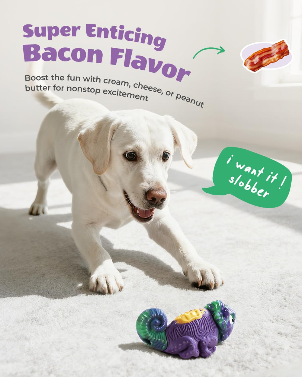 ChienBox alivia la ansiedad al ser compañero de juego y masticación.