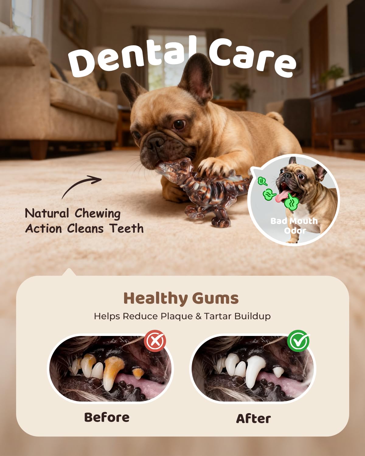 Juguete dentadura texturada de ChienBox para limpieza suave de dientes.