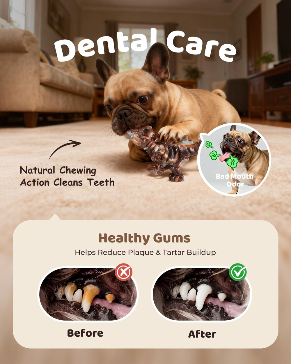 Juguete dentadura texturada de ChienBox para limpieza suave de dientes.