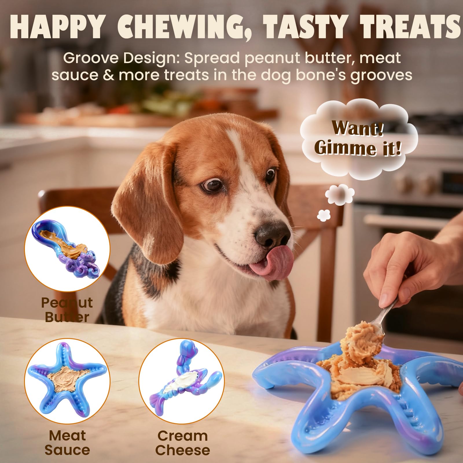 ChienBox juguete mordedor estrella de mar texturizado para dientes robustos
