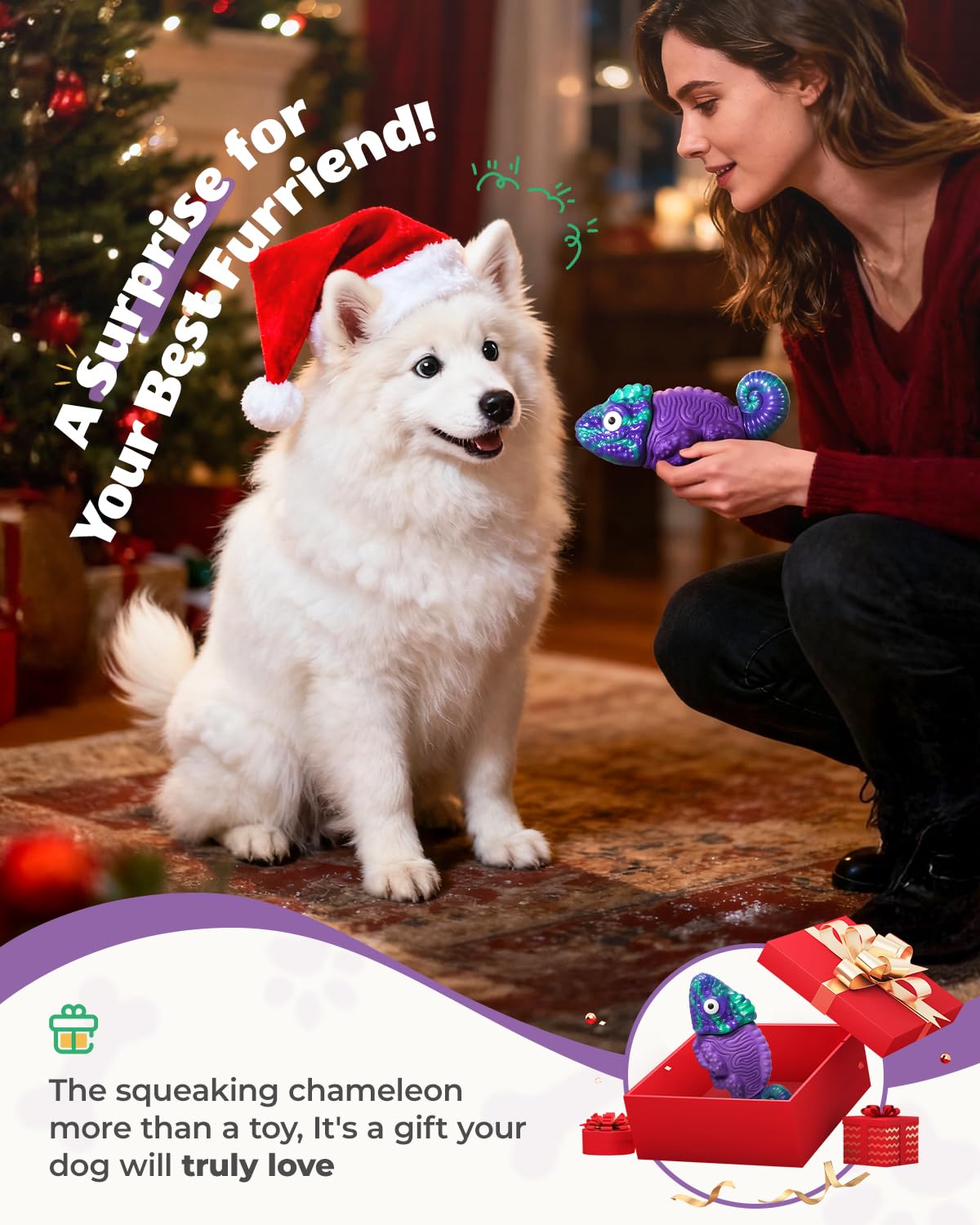 ChienBox regalo perfecto para perros activos y amantes de las mordidas resistentes.