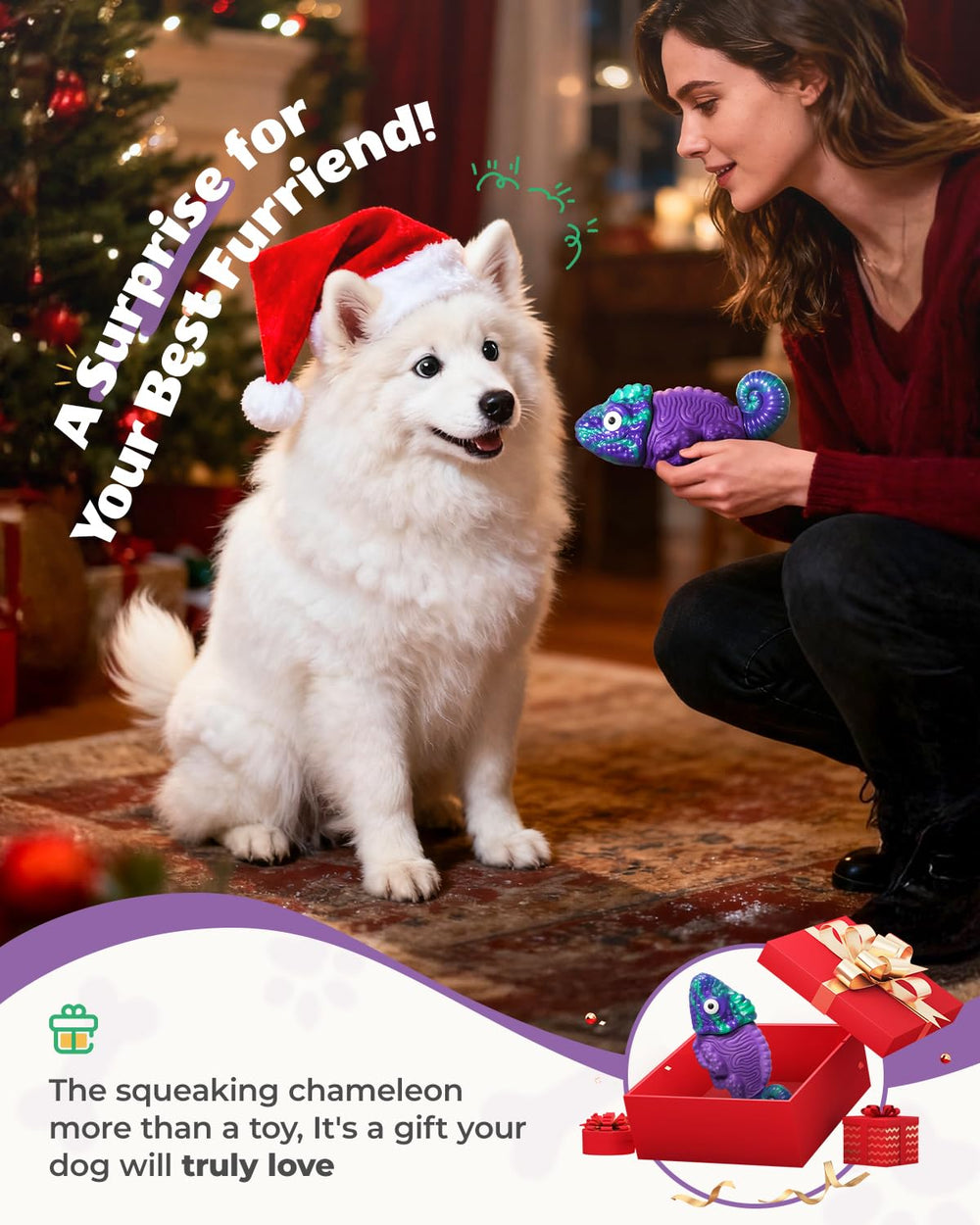 ChienBox regalo perfecto para perros activos y amantes de las mordidas resistentes.
