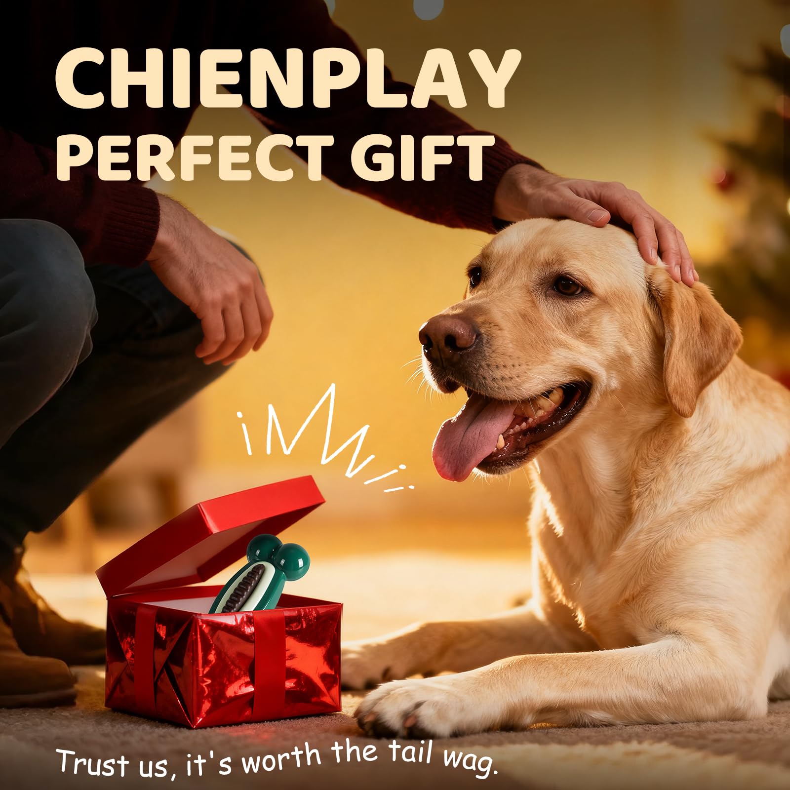 ChienPlay Juguete para uso interactivo, fomenta juego compartido y cooperación.