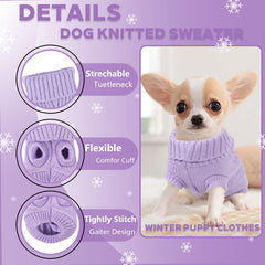 Chihuahua suéter con diseño adorable, perfecto para salidas urbanas.