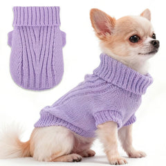 Chihuahua suéter púrpura XXS, cálido y cómodo para paseos fríos.