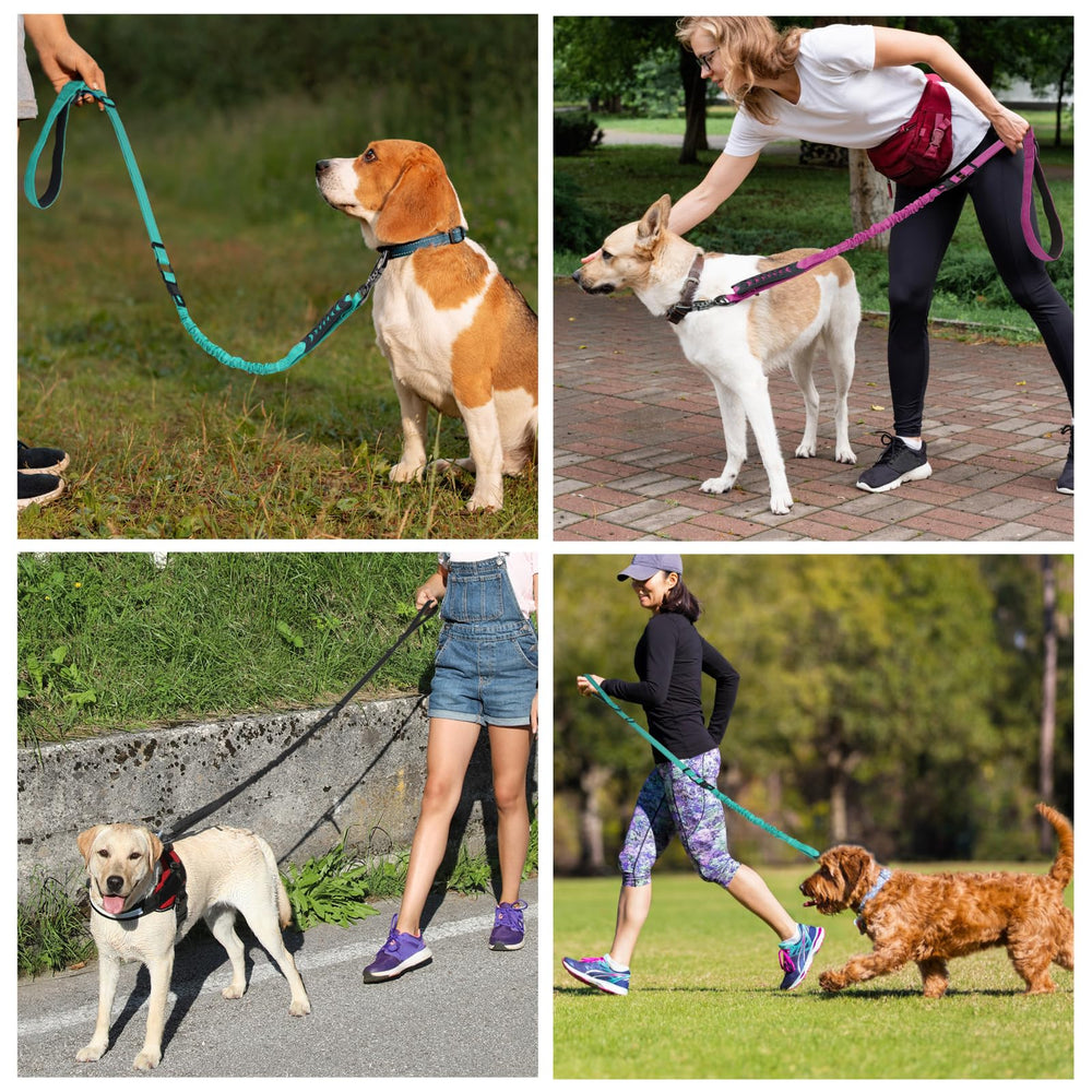 Chioratree nylon resistente para perros grandes y tirones fuertes
