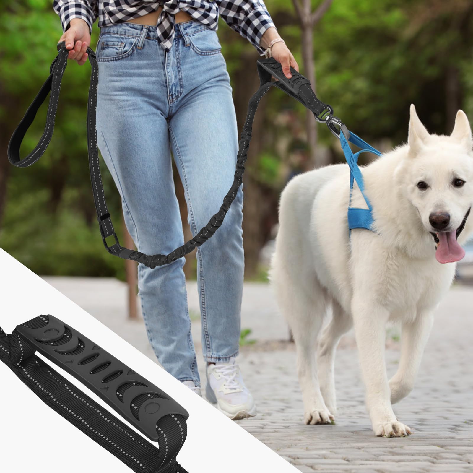 Chioratree diseño ideal para perros medianos y grandes