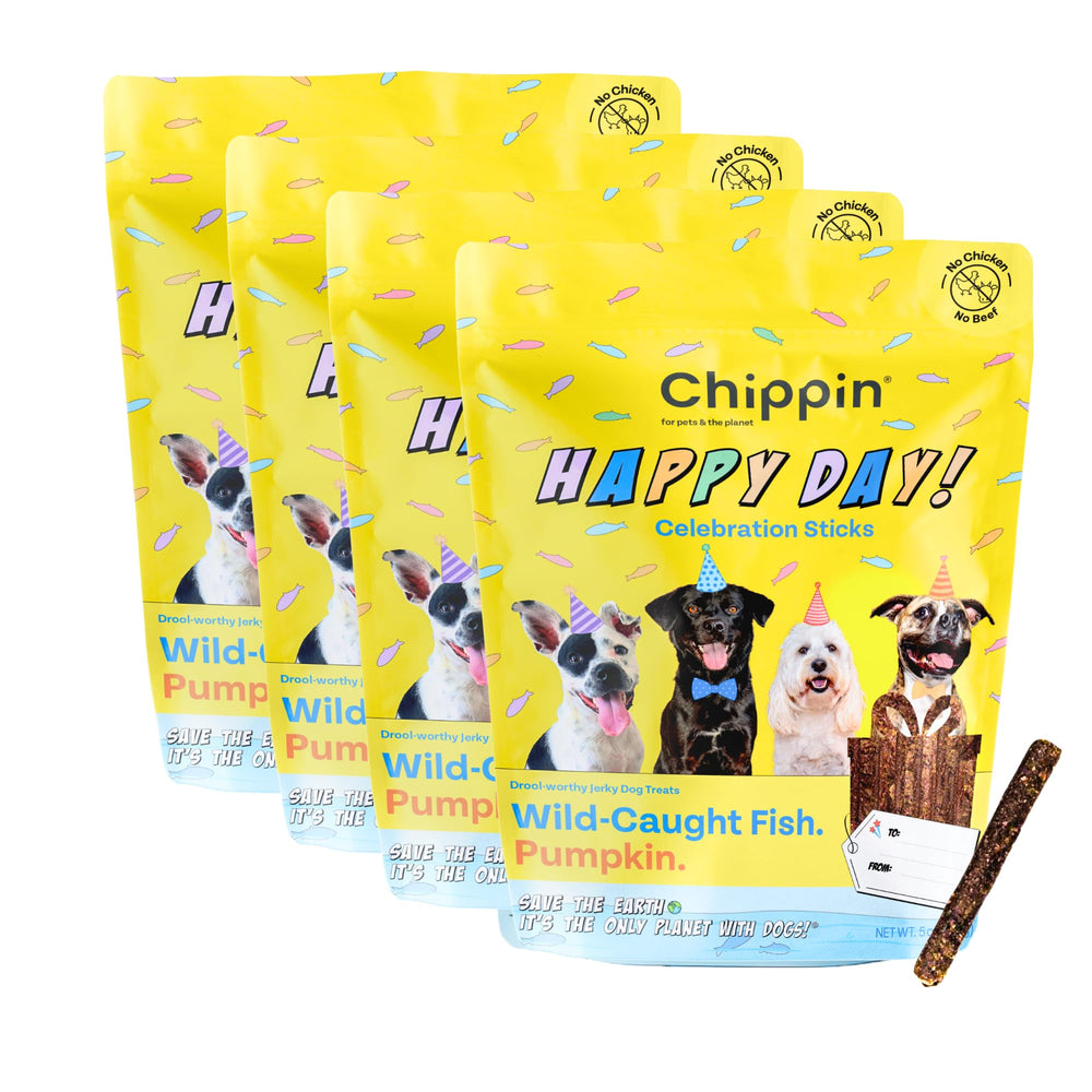 Chipin galletas de cumpleaños para perros, recompensa suave y de alto valor