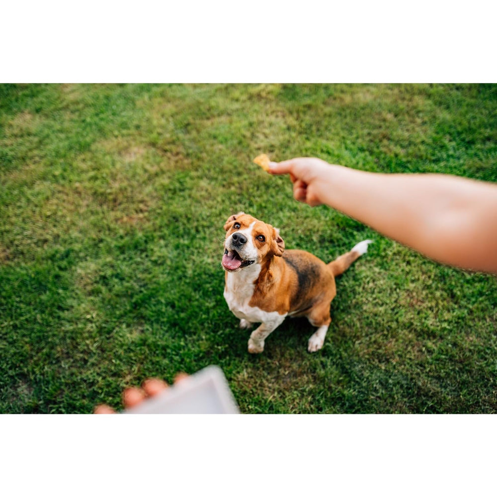 Chip's Naturals Chips de Pollo para Perros, cierre resellable para mantener la frescura