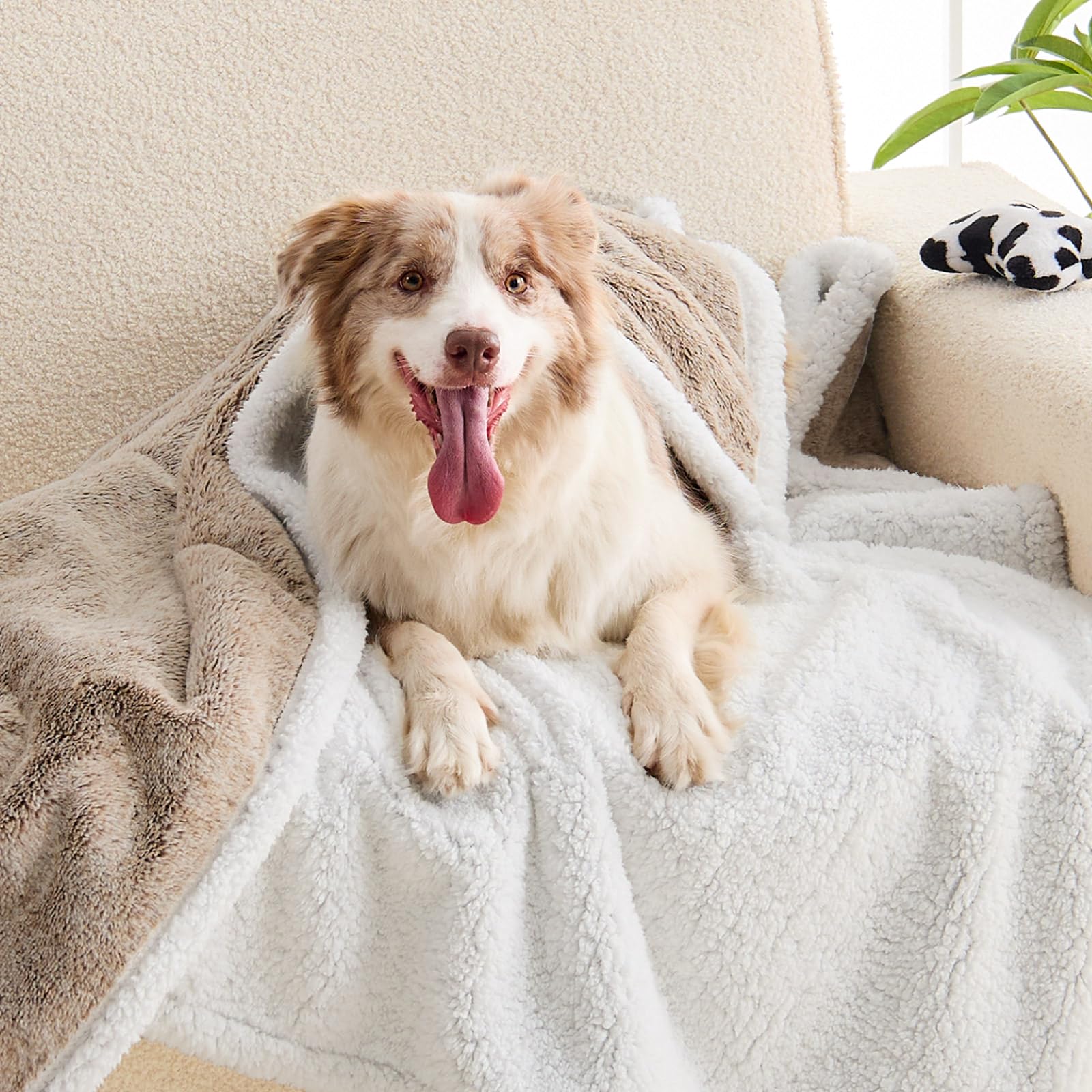 ChiXnuggle manta tamaño extragrande, adecuada para perros grandes.