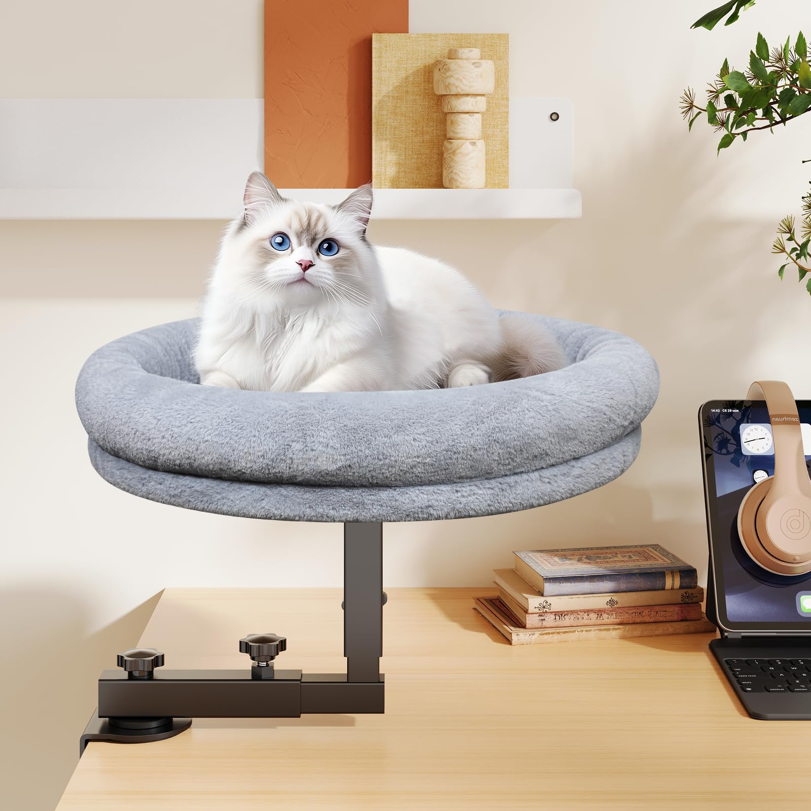 Chloraeon cama gato gris moderno para escritorio.