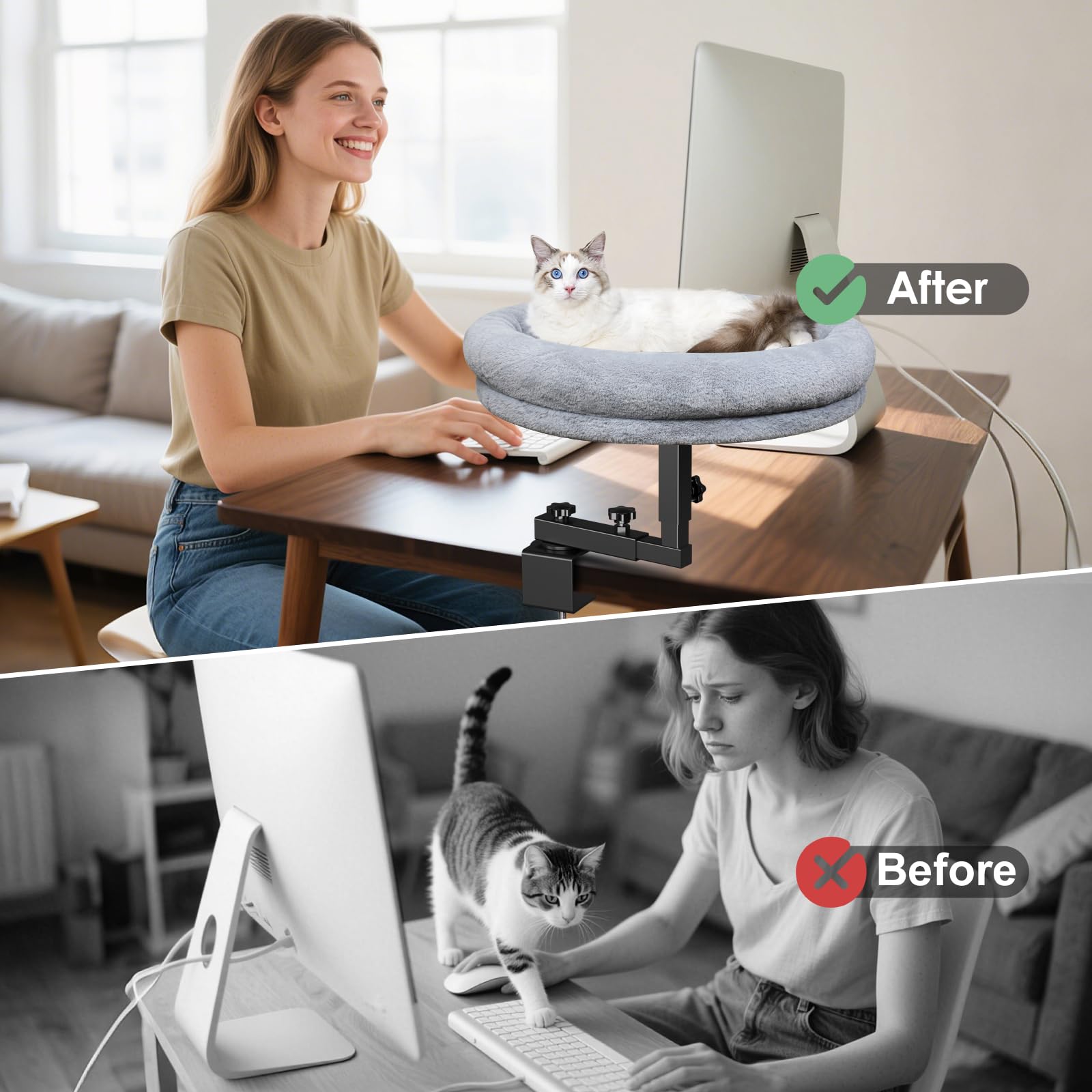 Chloraeon cama gato soporte 50 libras; estructura estable para saltos.