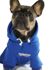 ChoChoCho sudadera azul para perro, vista frontal, mantiene al perro cálido durante paseos.