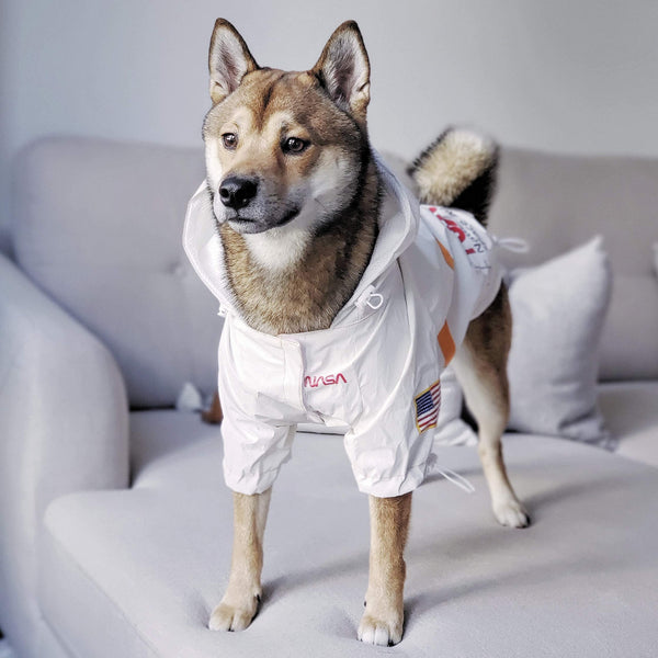 ChoChoCho impermeable NASA, doble forro transpirable para mayor comodidad.