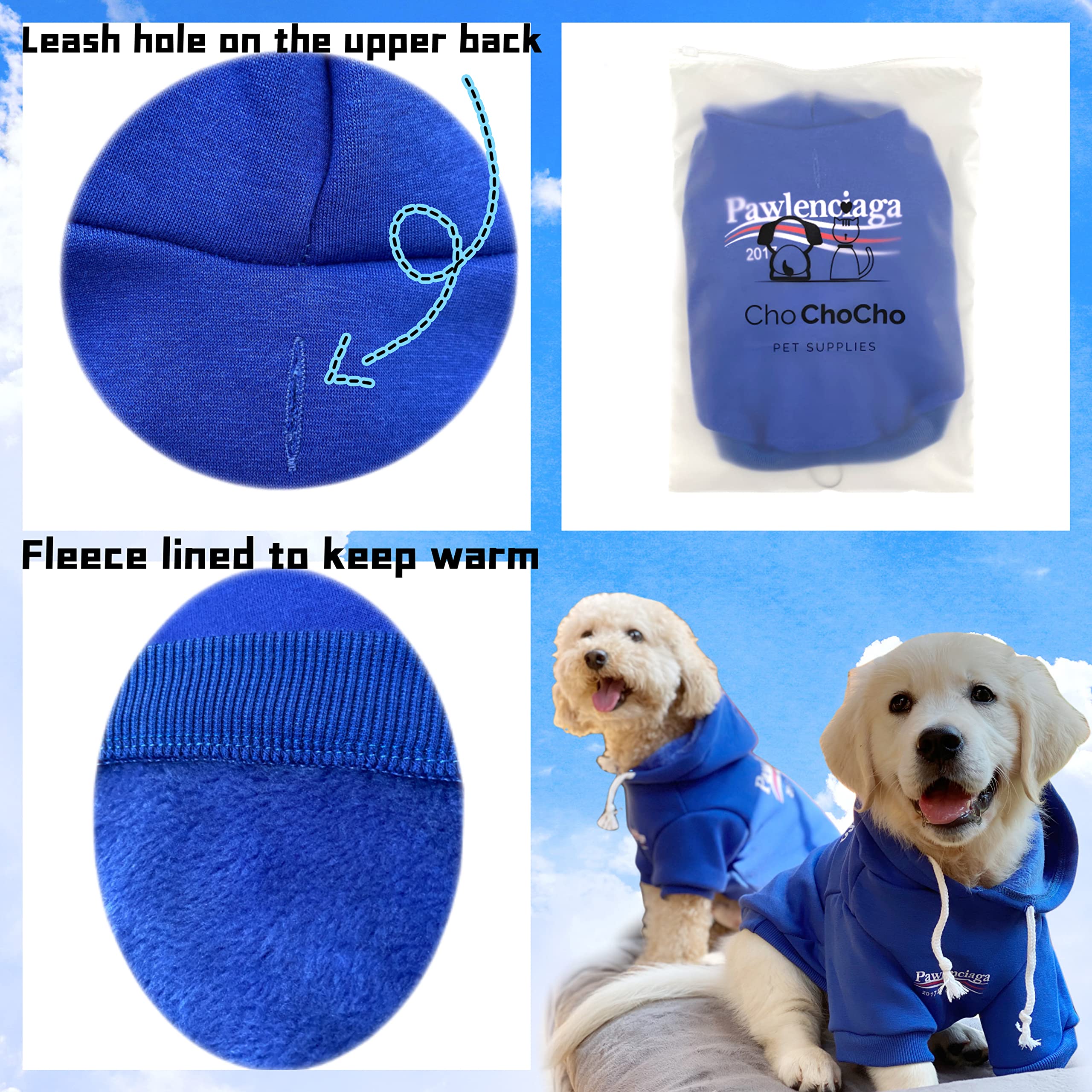 ChoChoCho modelo con conjunto streetwear, vista completa, look moderno para mascotas.