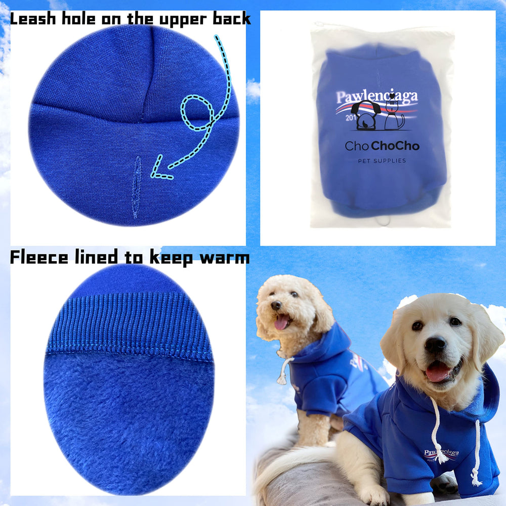 ChoChoCho modelo con conjunto streetwear, vista completa, look moderno para mascotas.