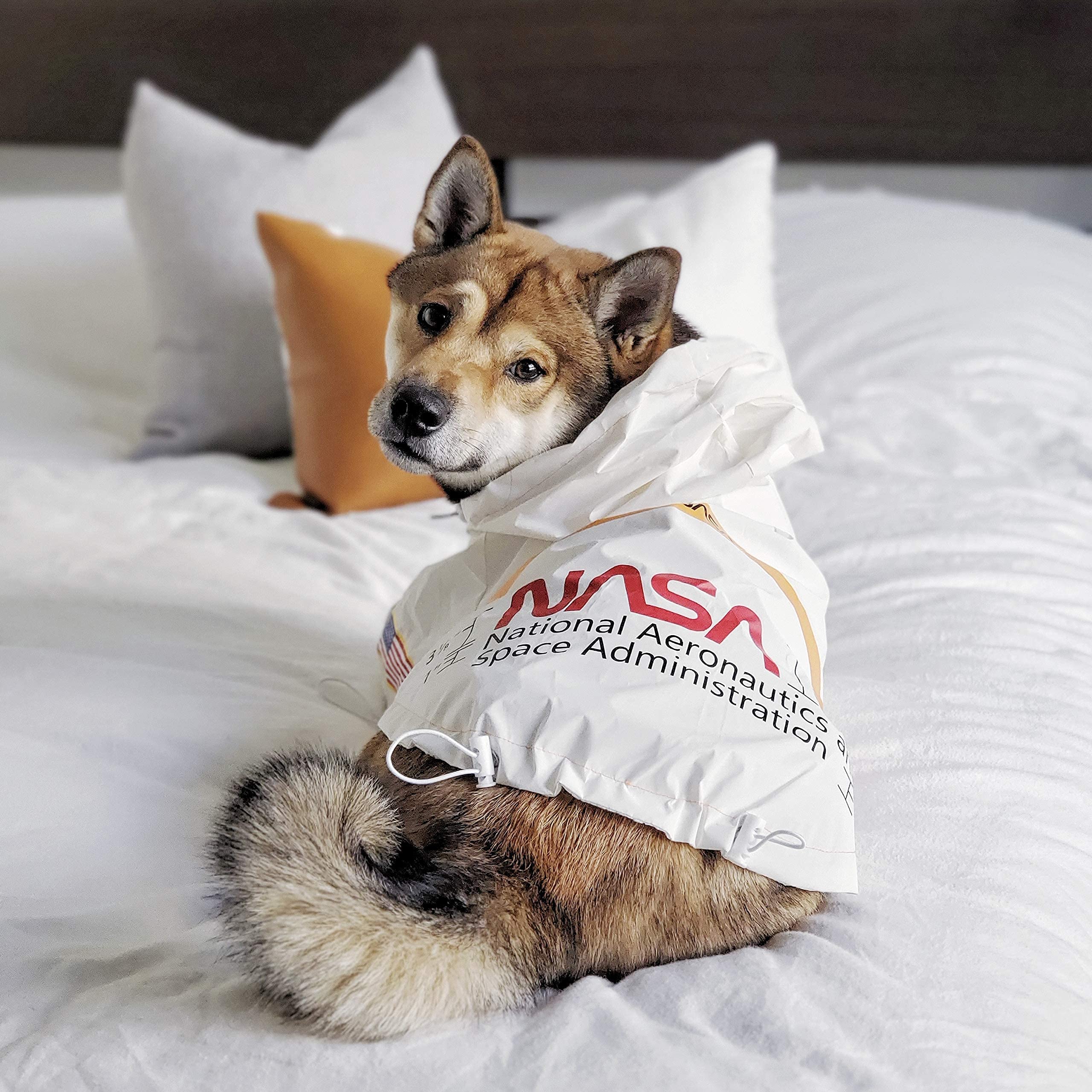 Capa de lluvia fácil de poner con velcro ChoChoCho NASA.