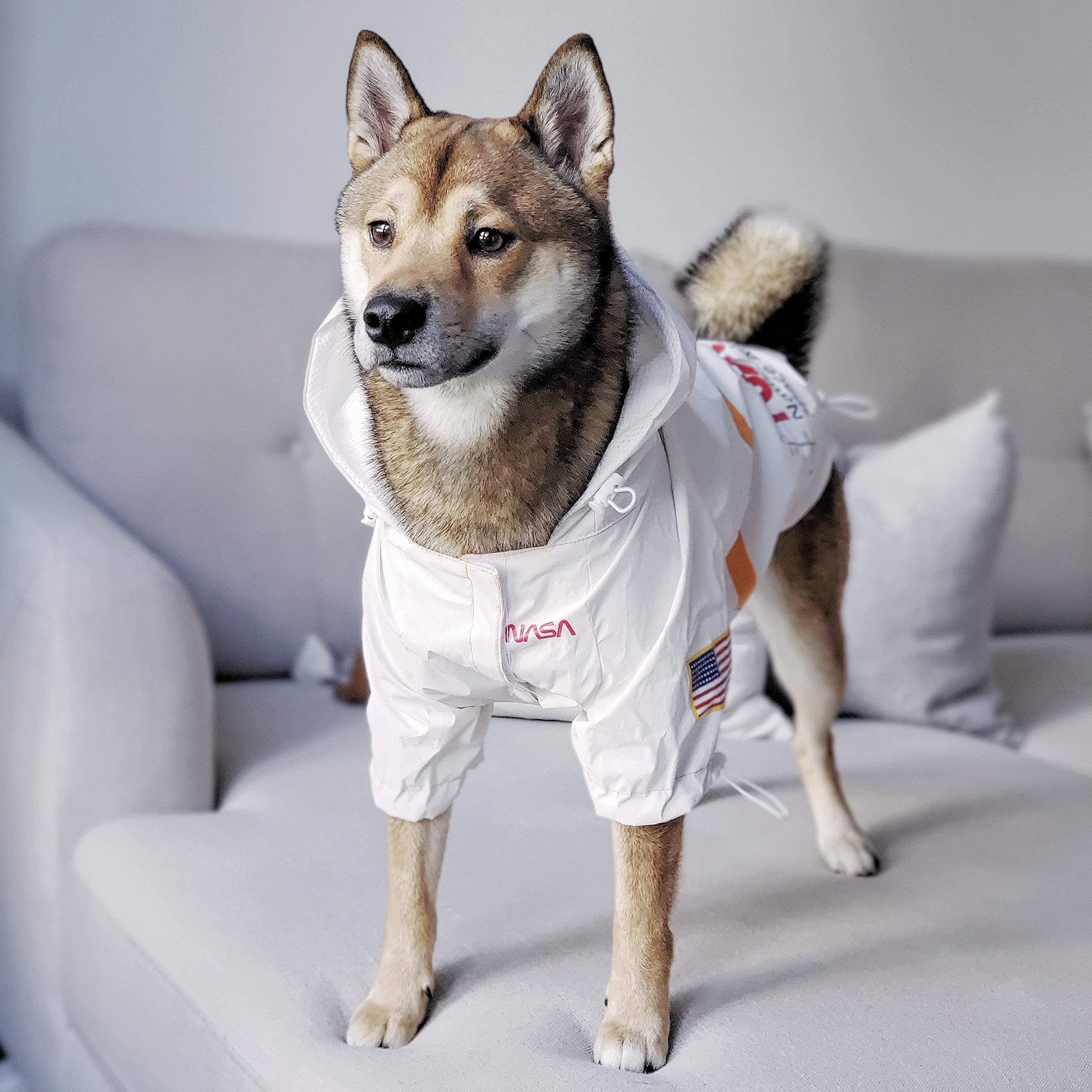 Capa lluvia reflectante para mascota ChoChoCho NASA, visibilidad nocturna.