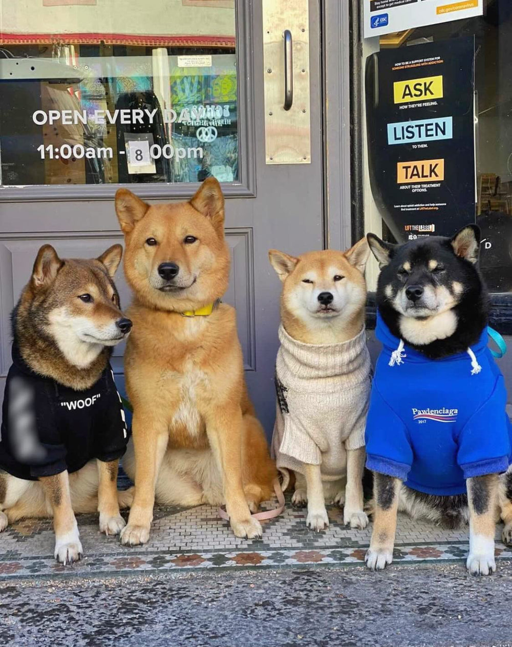 ChoChoCho detalle-tejido en sudadera para perro, comodidad y durabilidad en uso diario.